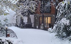 Поляна Птахів