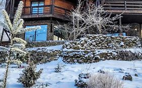 Поляна Птахів